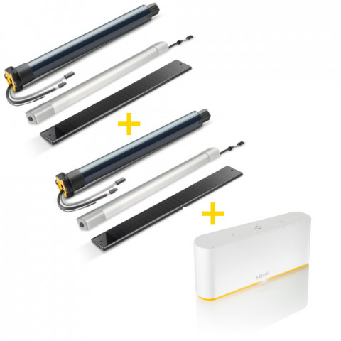 Aktionspaket: 2 x Somfy Einsteckantrieb RS100 Solar io Kit + gratis TaHoma Switch